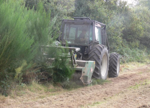 Gyrobroyage dans le finistère