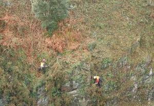 débroussailler falaise